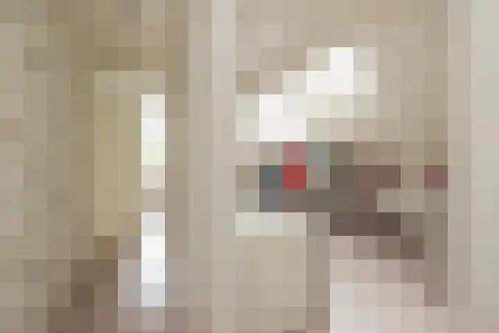 G.B. de Vroomenstraat 6 Sassenheim thumbnail 39