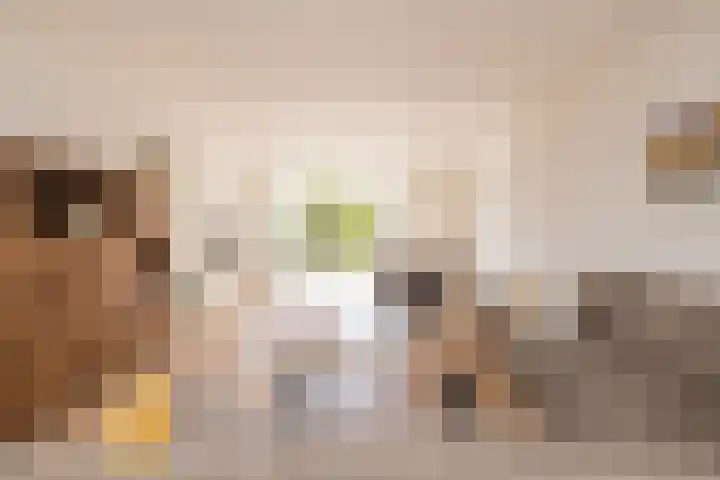 G.B. de Vroomenstraat 6 Sassenheim thumbnail 5