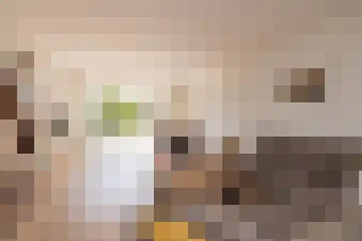 G.B. de Vroomenstraat 6 Sassenheim thumbnail 6