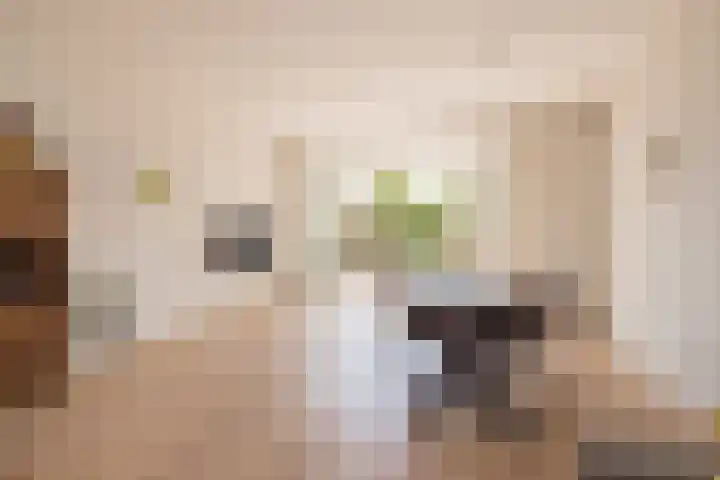 G.B. de Vroomenstraat 6 Sassenheim thumbnail 7