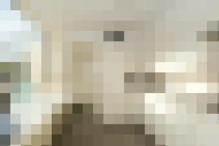G.B. Vloedbeldlaan 34 Almelo thumbnail 10