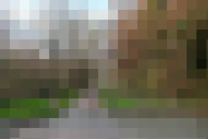 G.B. Vloedbeldlaan 34 Almelo thumbnail 32