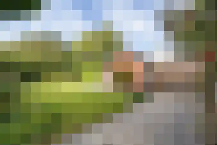 G.B. Vloedbeldlaan 6 Almelo thumbnail 21
