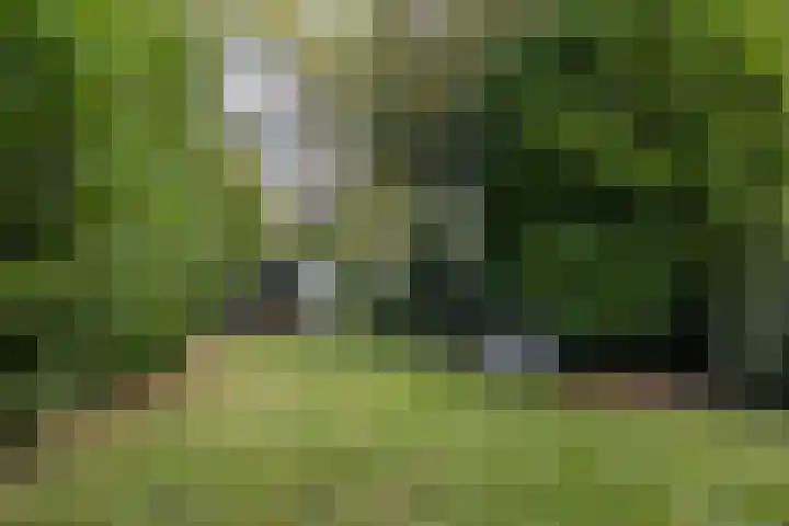 G.B. Vloedbeldlaan 6 Almelo thumbnail 22