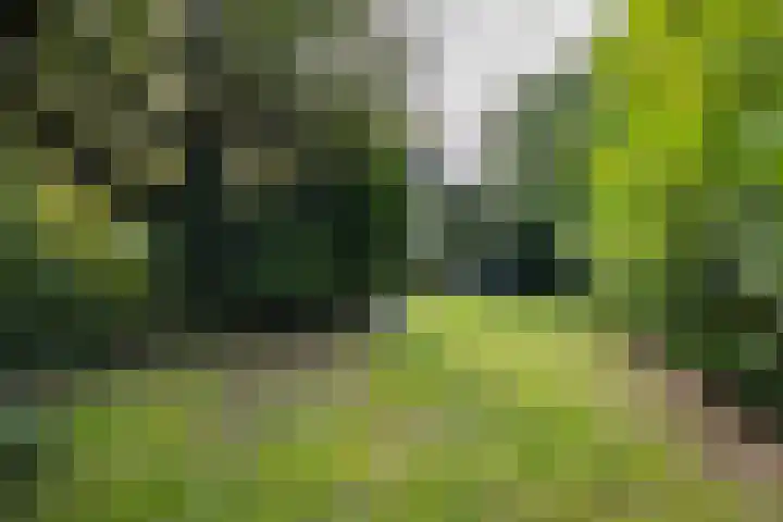 G.B. Vloedbeldlaan 6 Almelo thumbnail 23