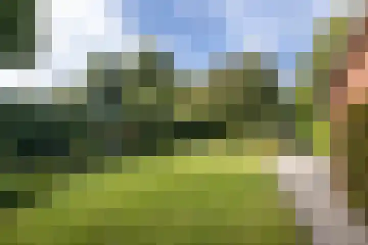 G.B. Vloedbeldlaan 6 Almelo foto 3