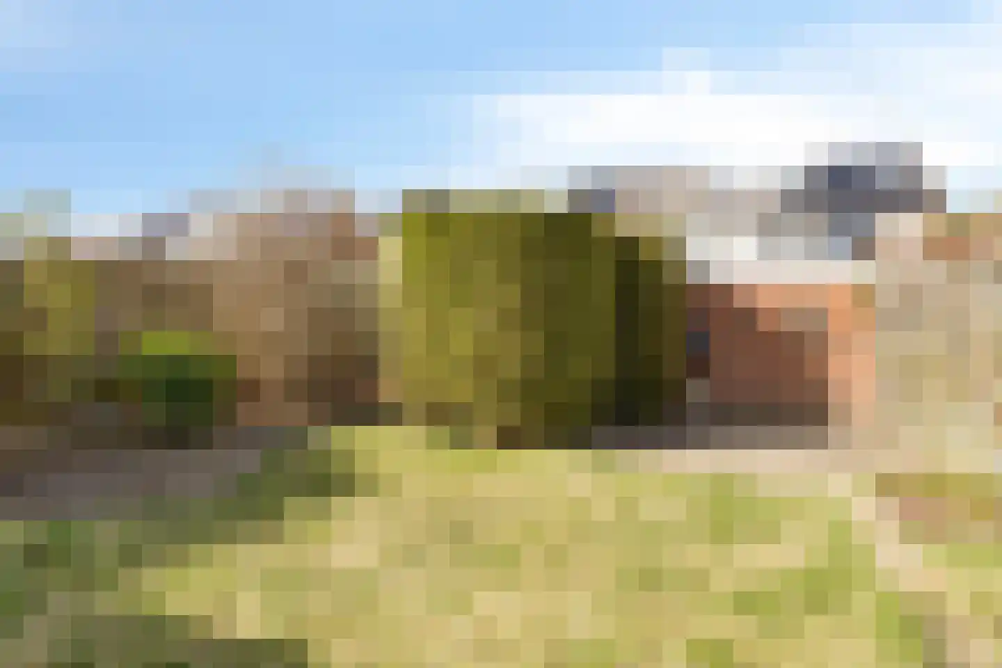 G. Bavingstraat 17 Roden thumbnail 23