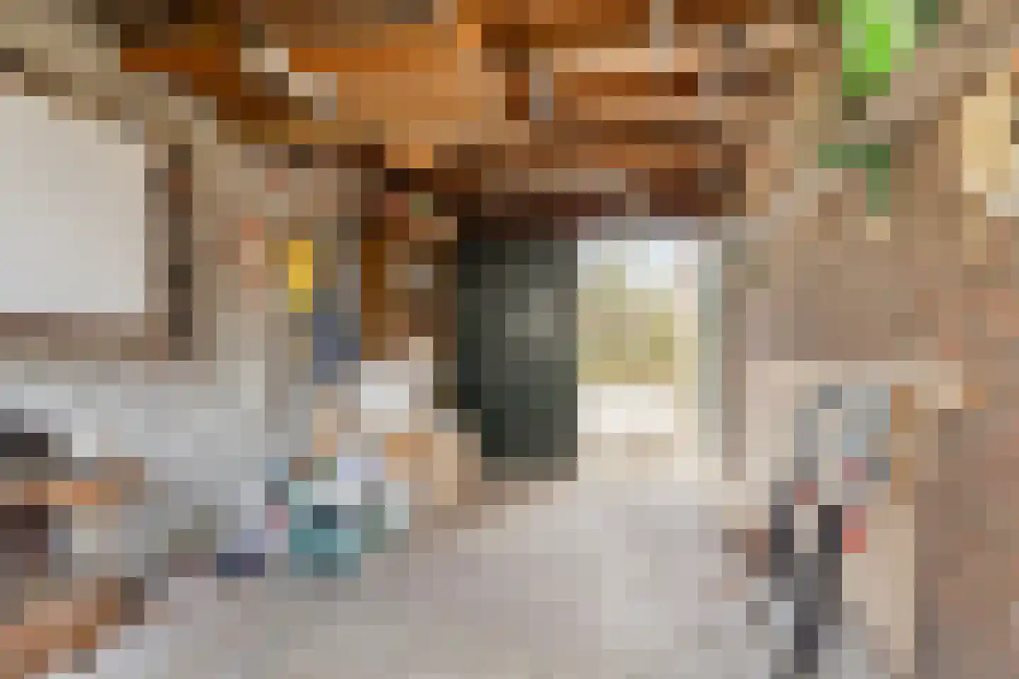 G. Bavingstraat 17 Roden thumbnail 25