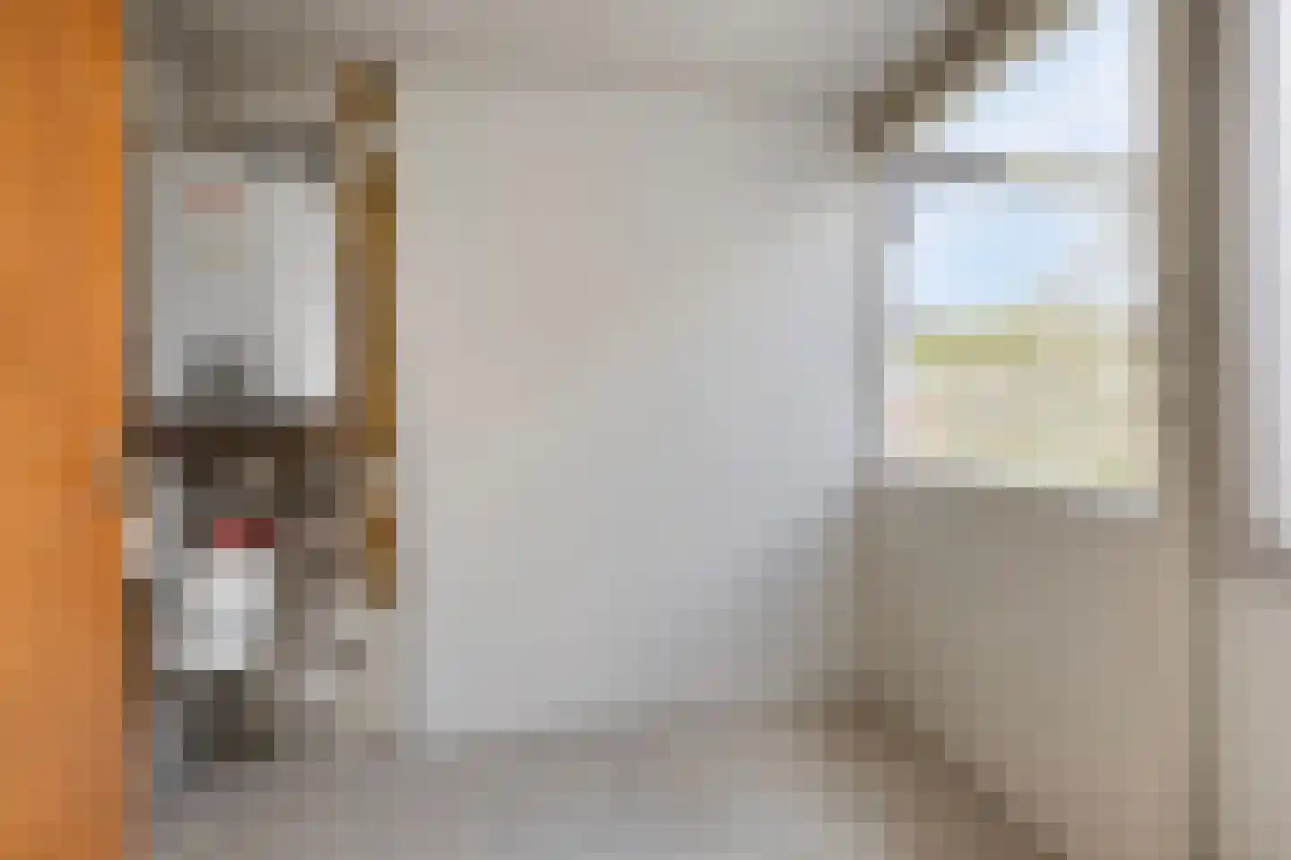 G. Bavingstraat 17 Roden thumbnail 9