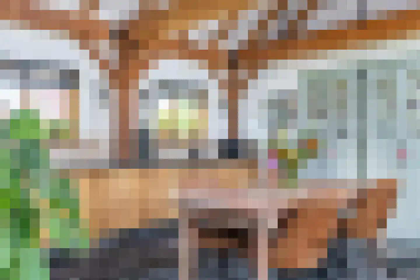 G. Boelmanweg 1 Wagenborgen thumbnail 10
