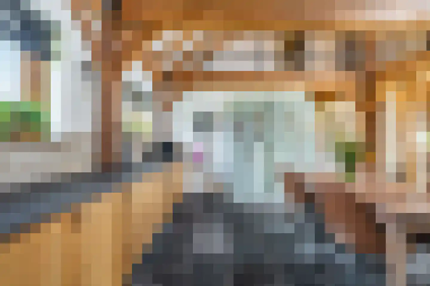 G. Boelmanweg 1 Wagenborgen thumbnail 11