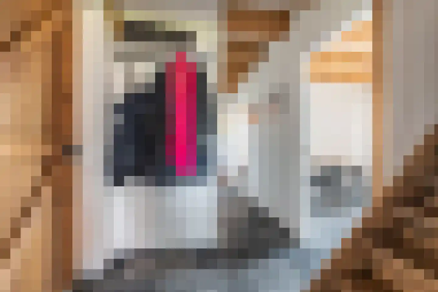 G. Boelmanweg 1 Wagenborgen thumbnail 17