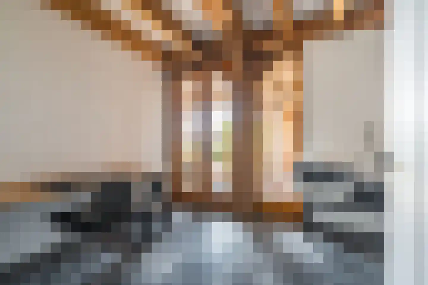 G. Boelmanweg 1 Wagenborgen thumbnail 18