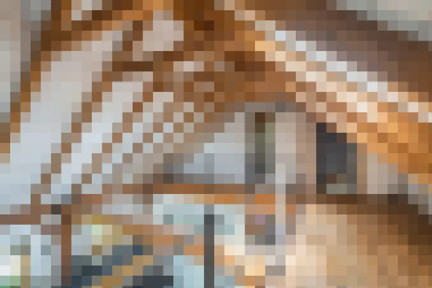 G. Boelmanweg 1 Wagenborgen thumbnail 30