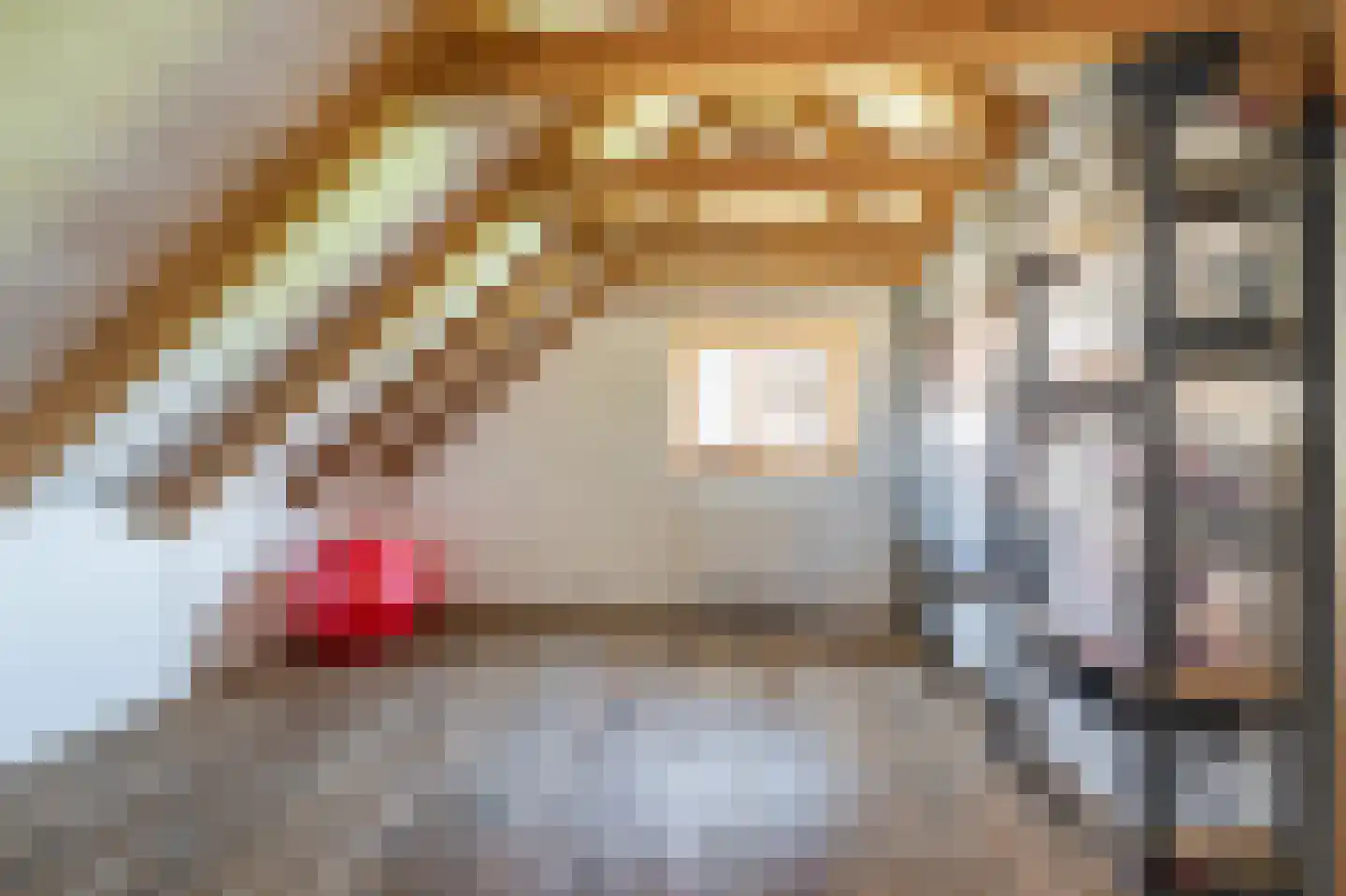 G. Boelmanweg 1 Wagenborgen thumbnail 38