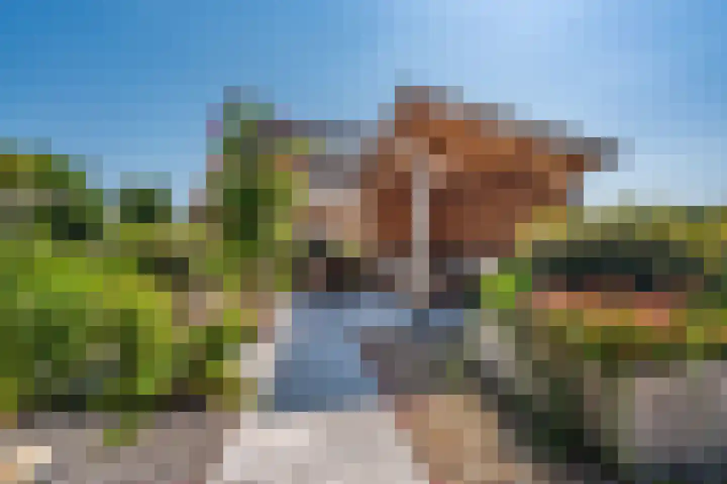 G. Boelmanweg 1 Wagenborgen thumbnail 42