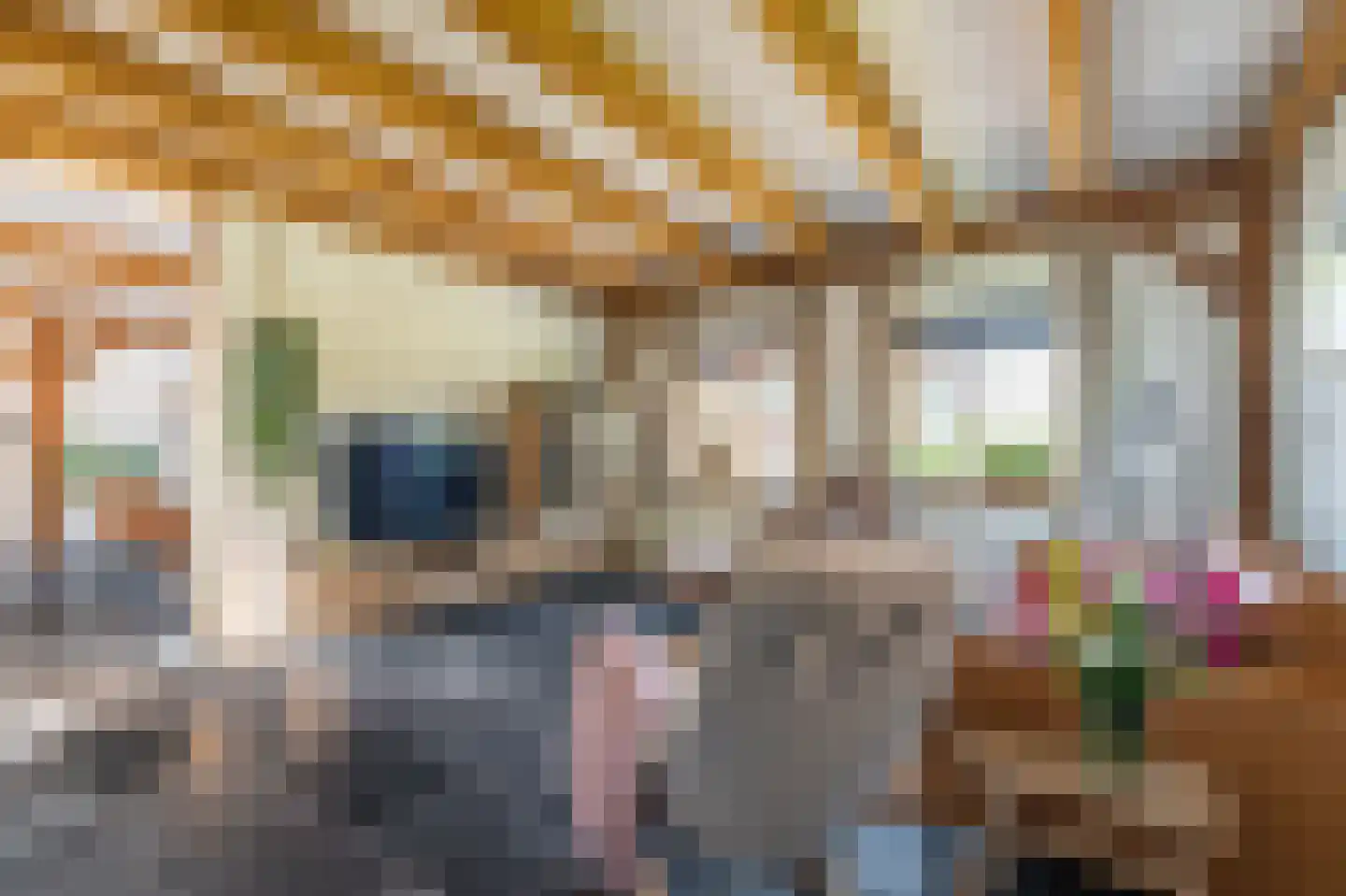 G. Boelmanweg 1 Wagenborgen thumbnail 5