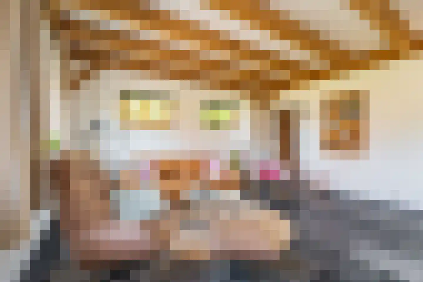 G. Boelmanweg 1 Wagenborgen thumbnail 7