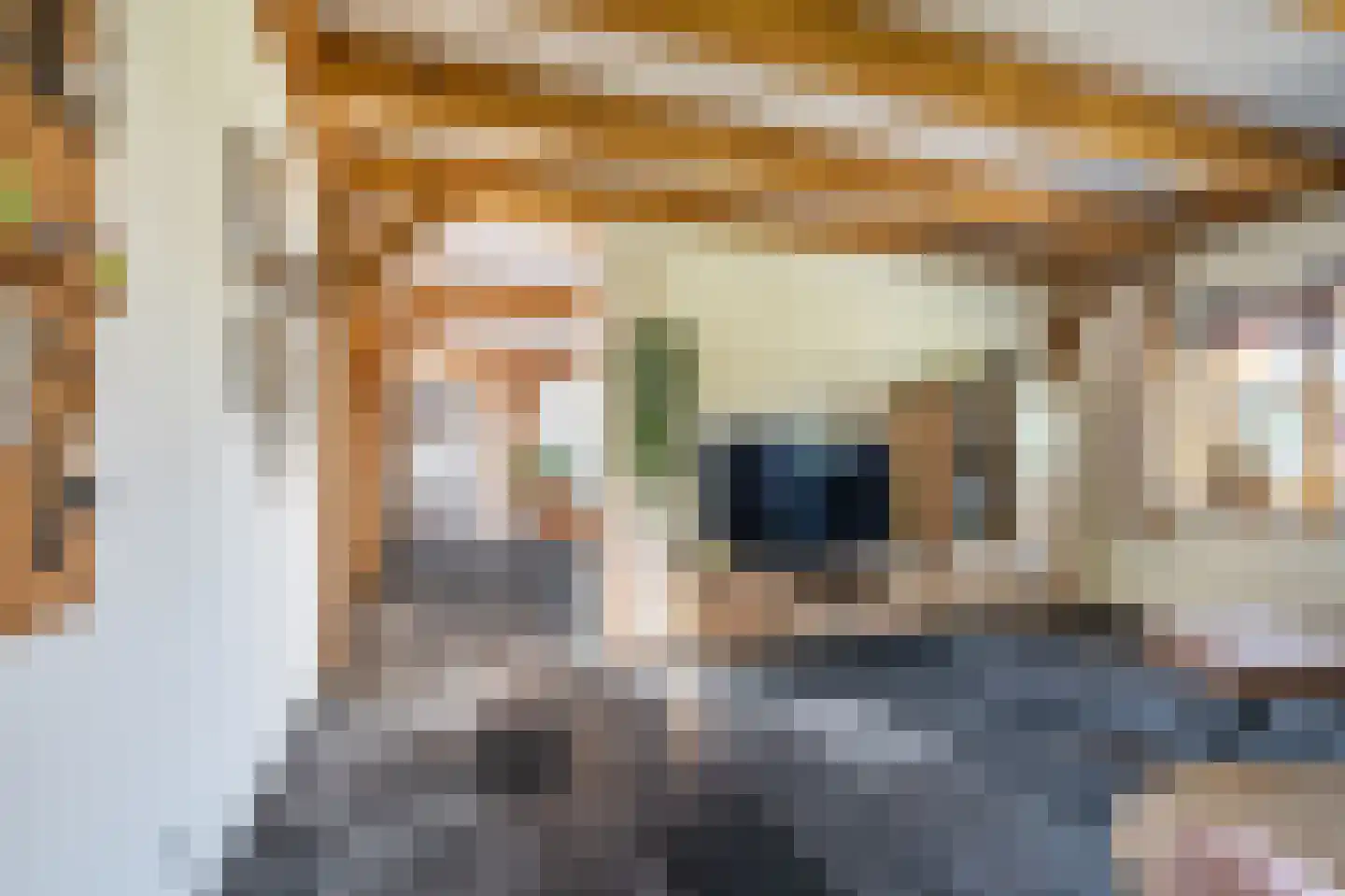 G. Boelmanweg 1 Wagenborgen thumbnail 8