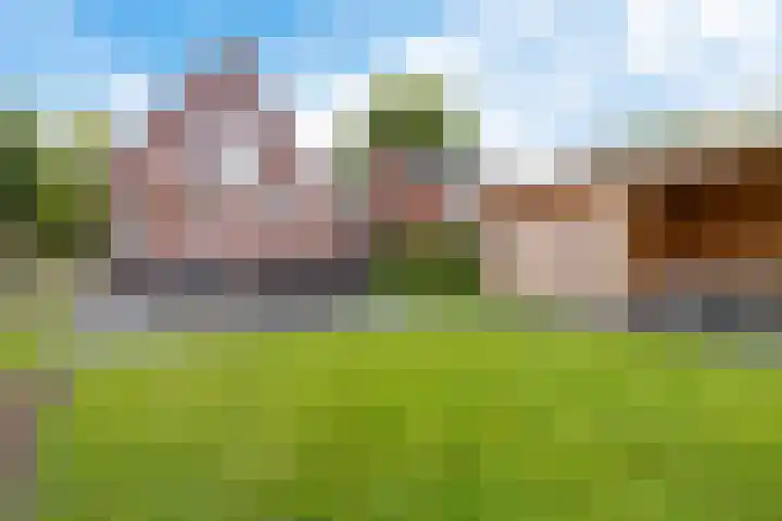 G. Boelmanweg 30 Wagenborgen thumbnail 14