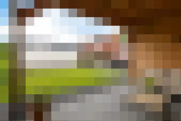 G. Boelmanweg 30 Wagenborgen thumbnail 16