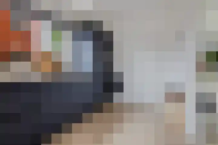 G. Boelmanweg 30 Wagenborgen thumbnail 24