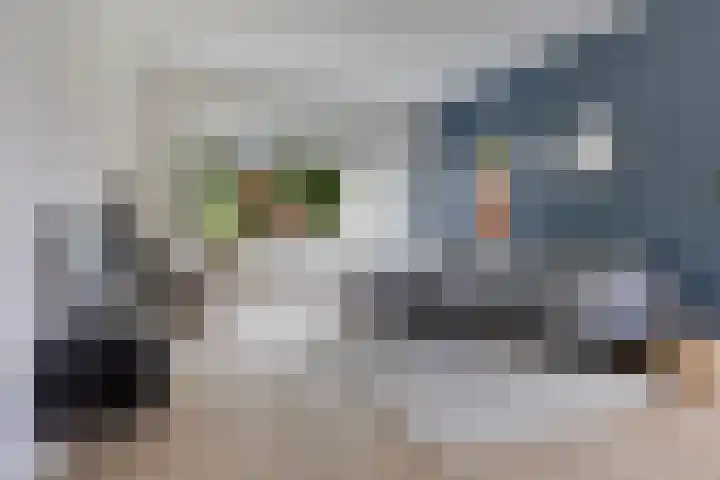 G. Boelmanweg 30 Wagenborgen thumbnail 33