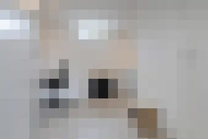 G. Boelmanweg 30 Wagenborgen thumbnail 39