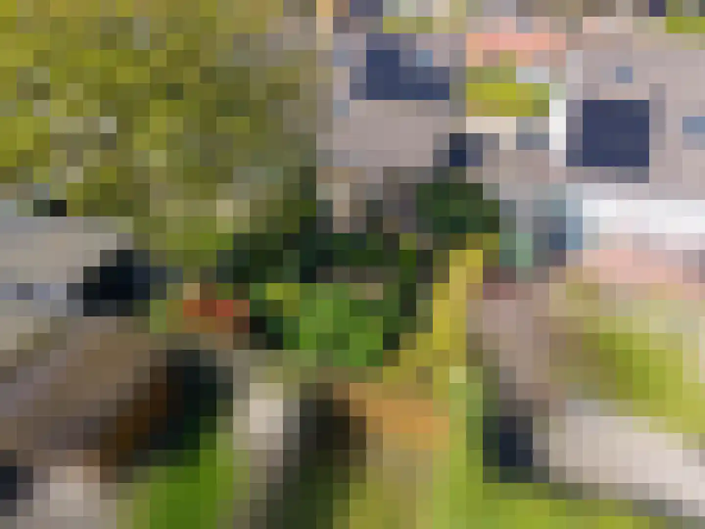 G. Boelmanweg 67 Wagenborgen thumbnail 48
