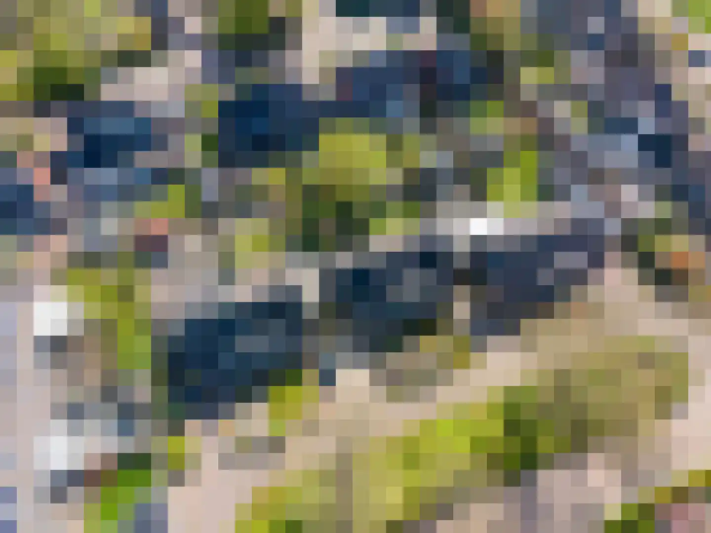 G. Boelmanweg 67 Wagenborgen thumbnail 50