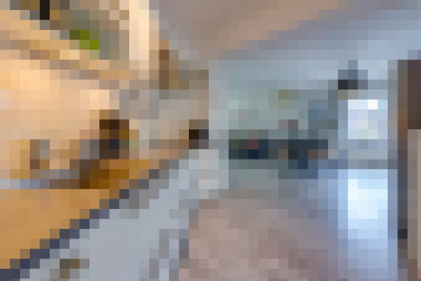 G. Buwaldaweg 11 a Sellingen thumbnail 18