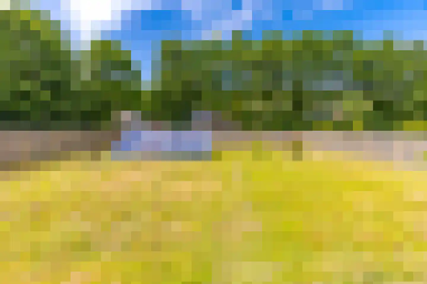 G. Buwaldaweg 11 a Sellingen thumbnail 52