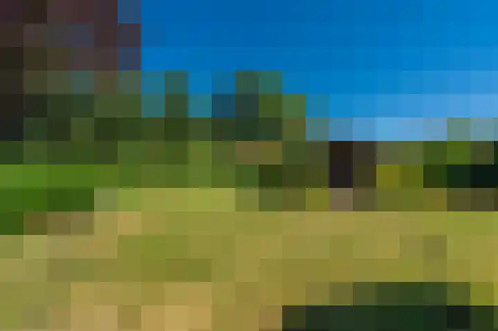 G. Buwaldaweg 11 c Sellingen thumbnail 10