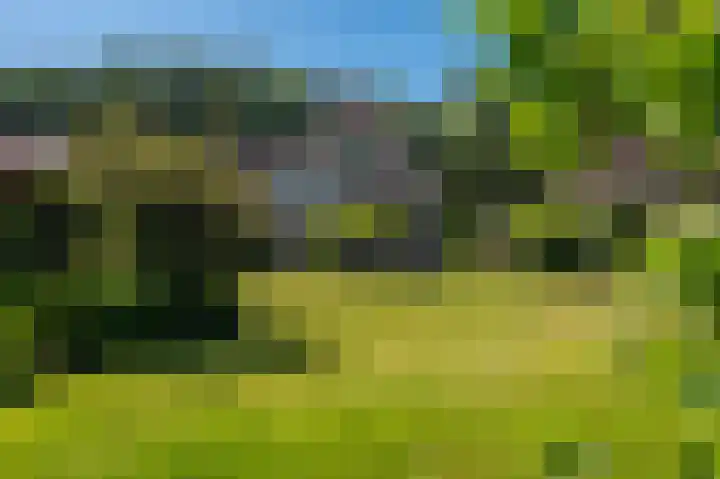 G. Buwaldaweg 11 c Sellingen thumbnail 12