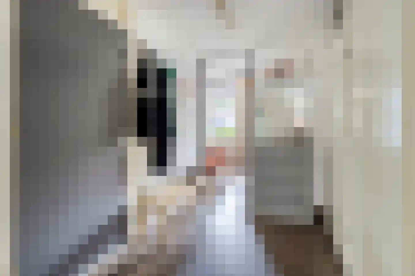 G.C. Marshallstraat 2 Groningen thumbnail 7