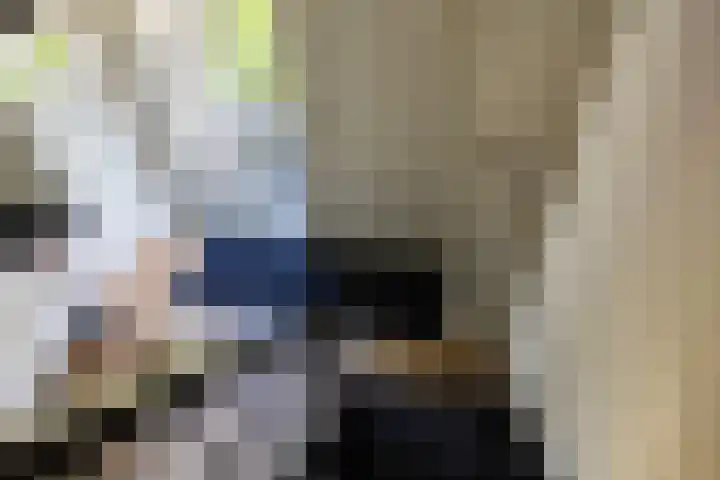 G D Swanenburg de Veijestraat 1 Franeker thumbnail 11