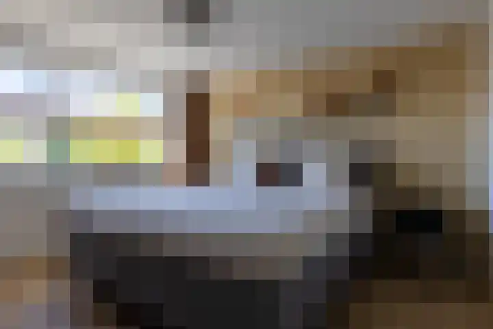 G D Swanenburg de Veijestraat 1 Franeker thumbnail 28