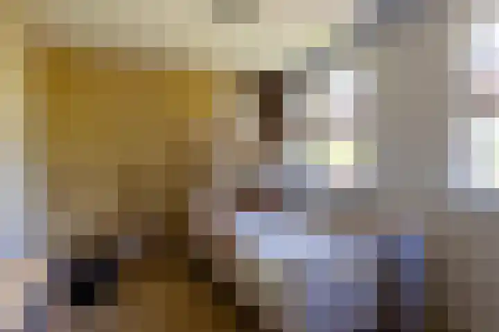 G D Swanenburg de Veijestraat 1 Franeker thumbnail 31