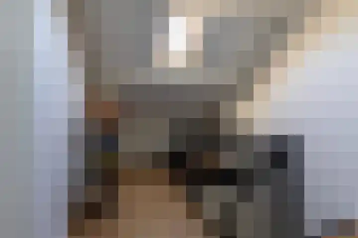 G D Swanenburg de Veijestraat 1 Franeker thumbnail 35