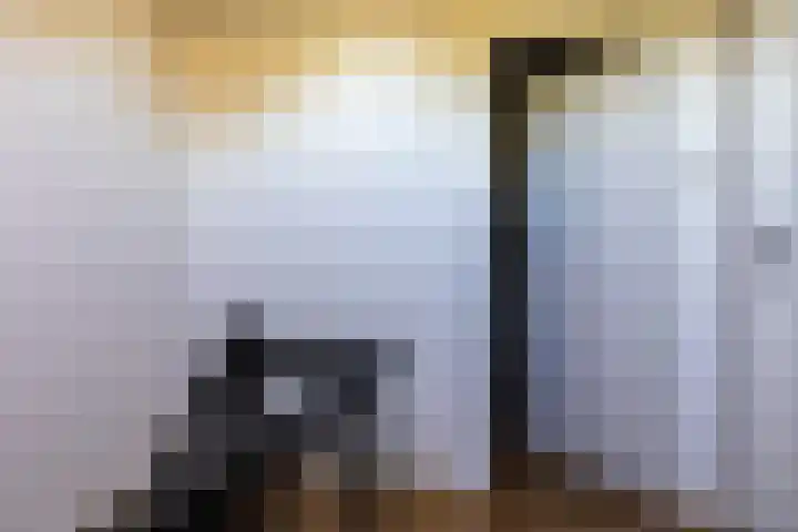 G D Swanenburg de Veijestraat 1 Franeker thumbnail 37