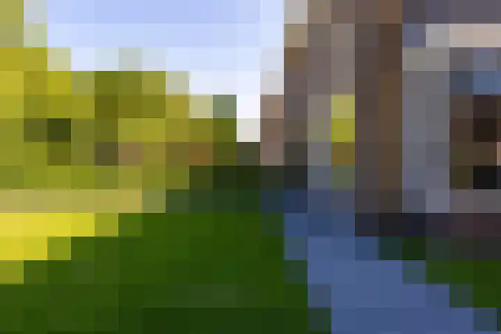 G D Swanenburg de Veijestraat 1 Franeker thumbnail 47