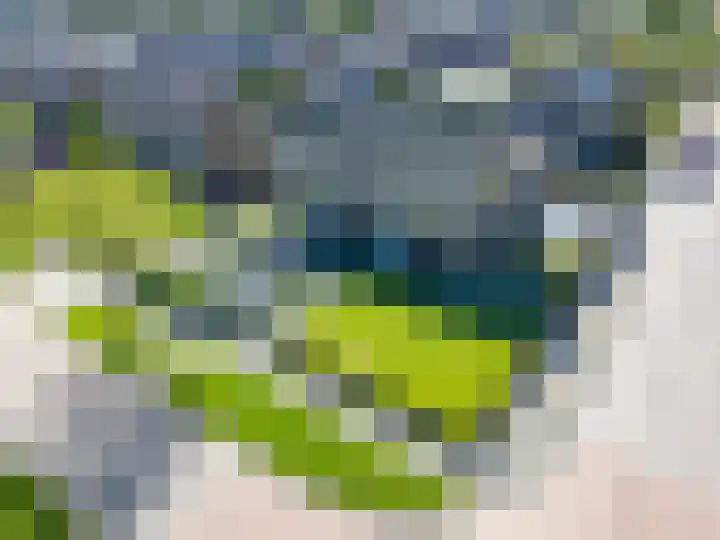 G D Swanenburg de Veijestraat 1 Franeker thumbnail 6