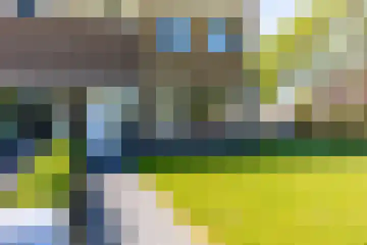 G D Swanenburg de Veijestraat 1 Franeker thumbnail 8