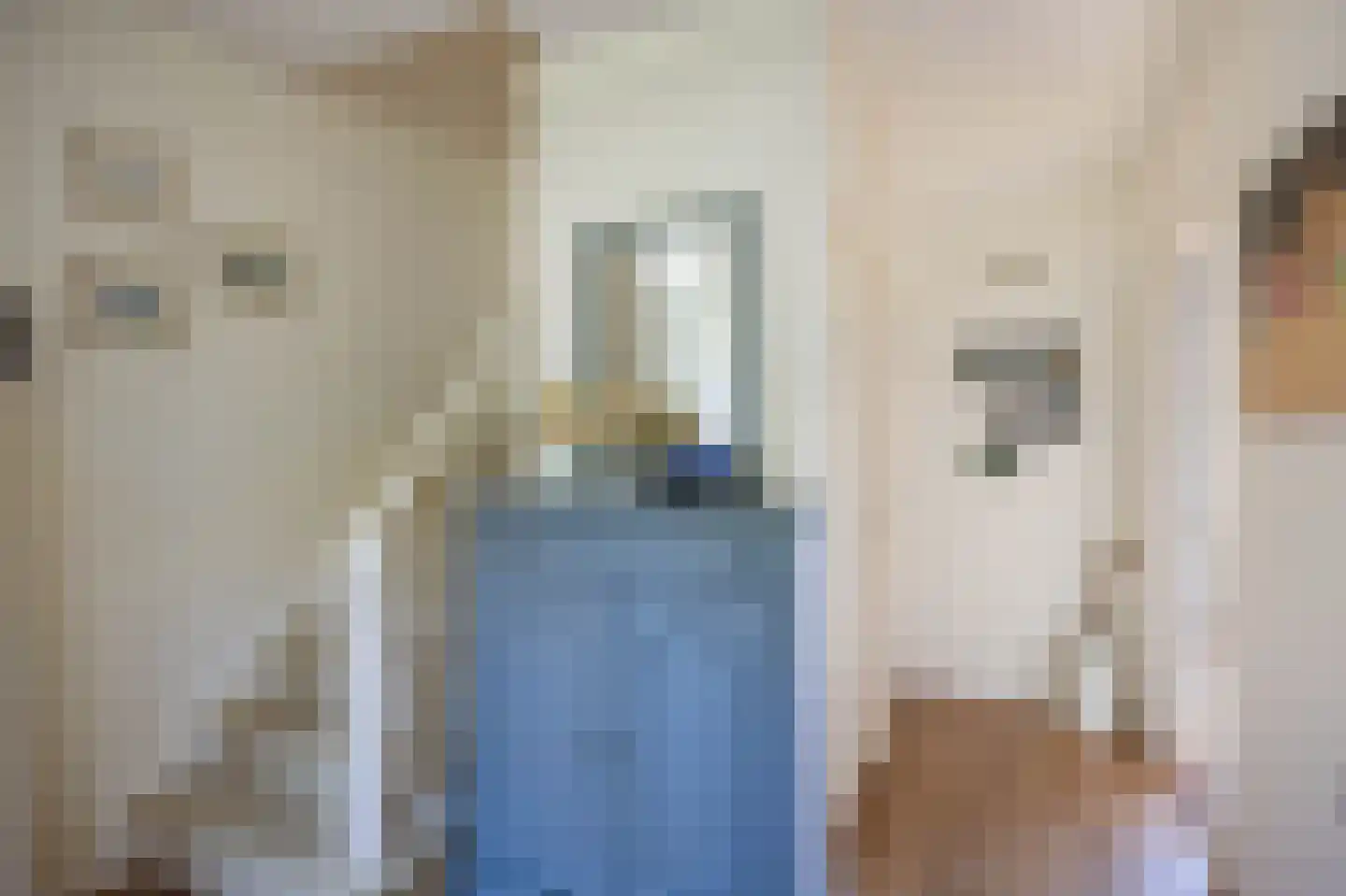 G D Swanenburg de Veijestraat 10 Franeker thumbnail 13