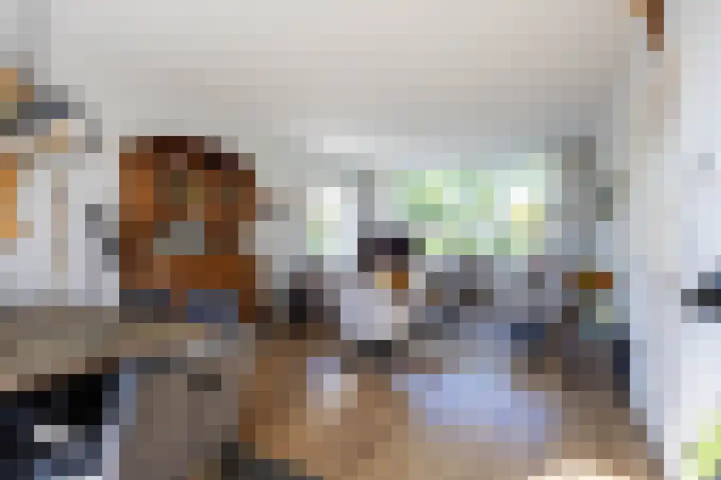 G D Swanenburg de Veijestraat 10 Franeker thumbnail 15
