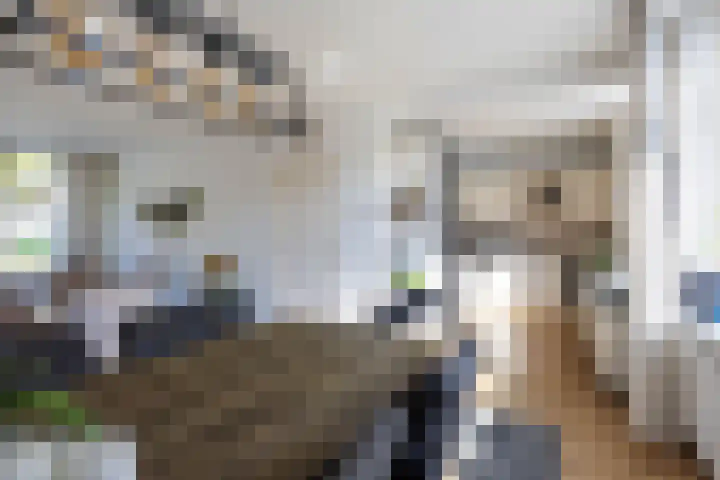 G D Swanenburg de Veijestraat 10 Franeker thumbnail 20