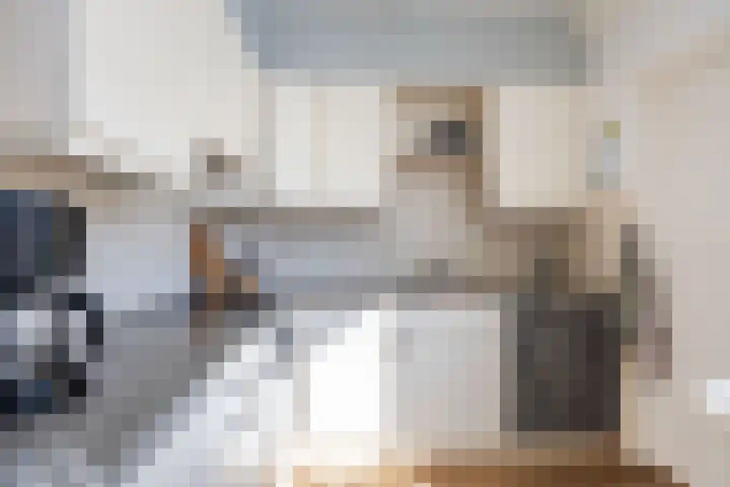 G D Swanenburg de Veijestraat 10 Franeker thumbnail 22