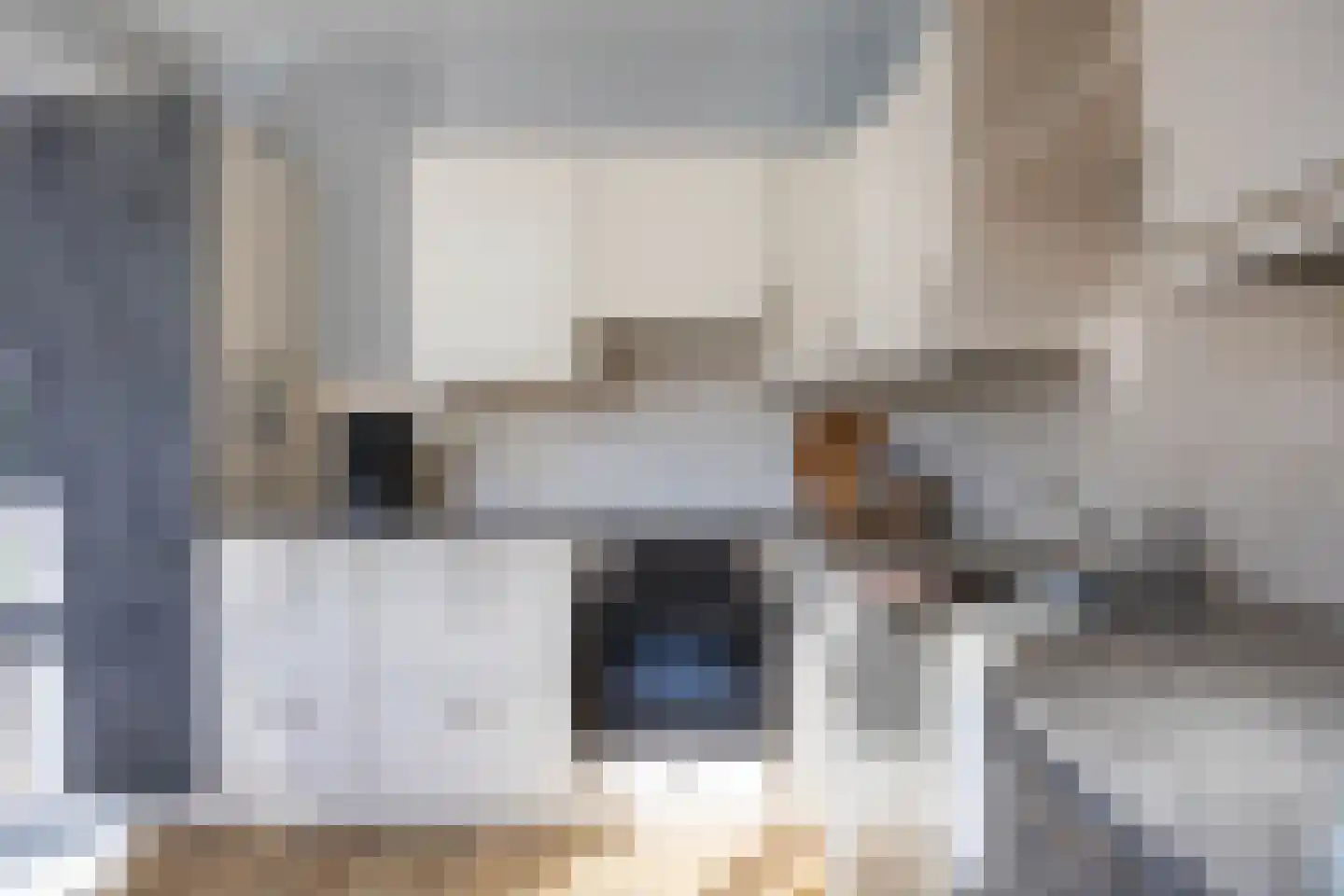 G D Swanenburg de Veijestraat 10 Franeker thumbnail 23