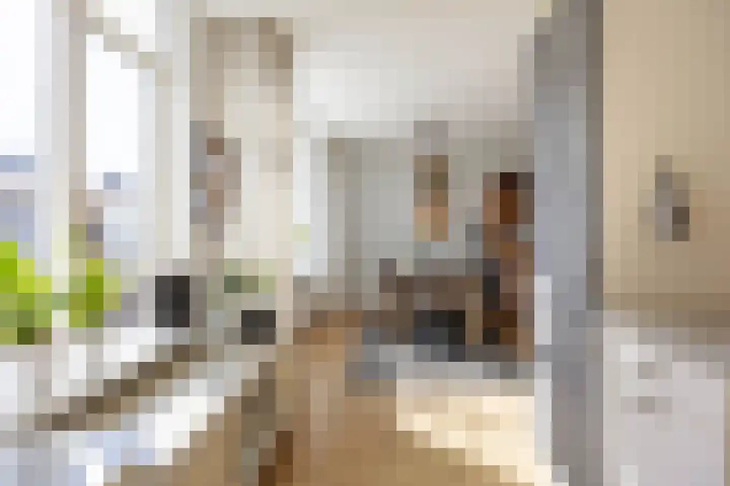 G D Swanenburg de Veijestraat 10 Franeker thumbnail 25