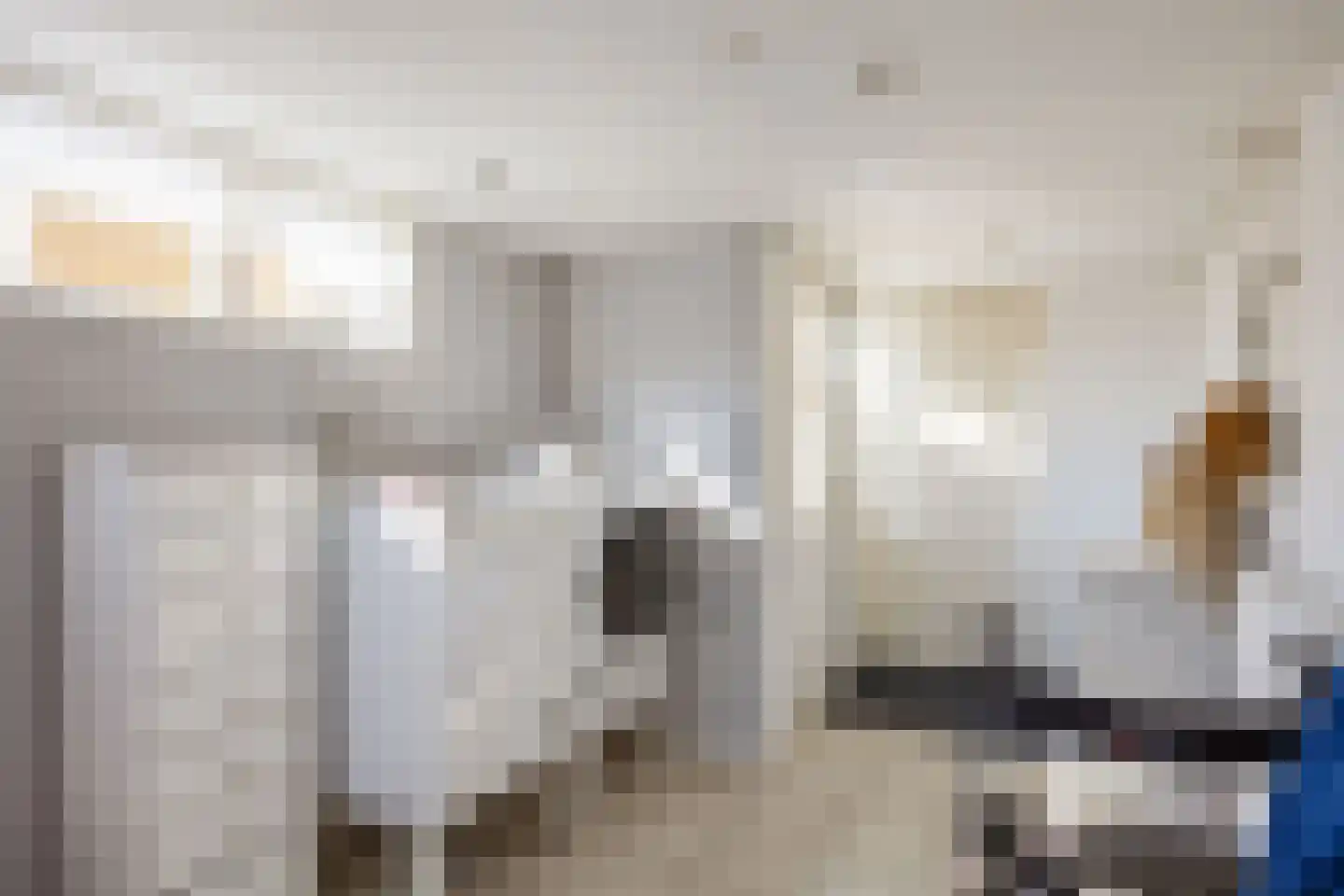 G D Swanenburg de Veijestraat 10 Franeker thumbnail 27